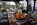 Kochstudio Kochkurs Kochevent Freiburg Kochstudio Freiburg Kochkurs Eventraum Freiburg Kochevent Cook & Live Partyraum Kochlounge Freiburg Kochstudio Kochkurse Eventraumvermietung Kochstudio Freiburg Kochstudio Freiburg Eventraum Vermietung Freiburg
